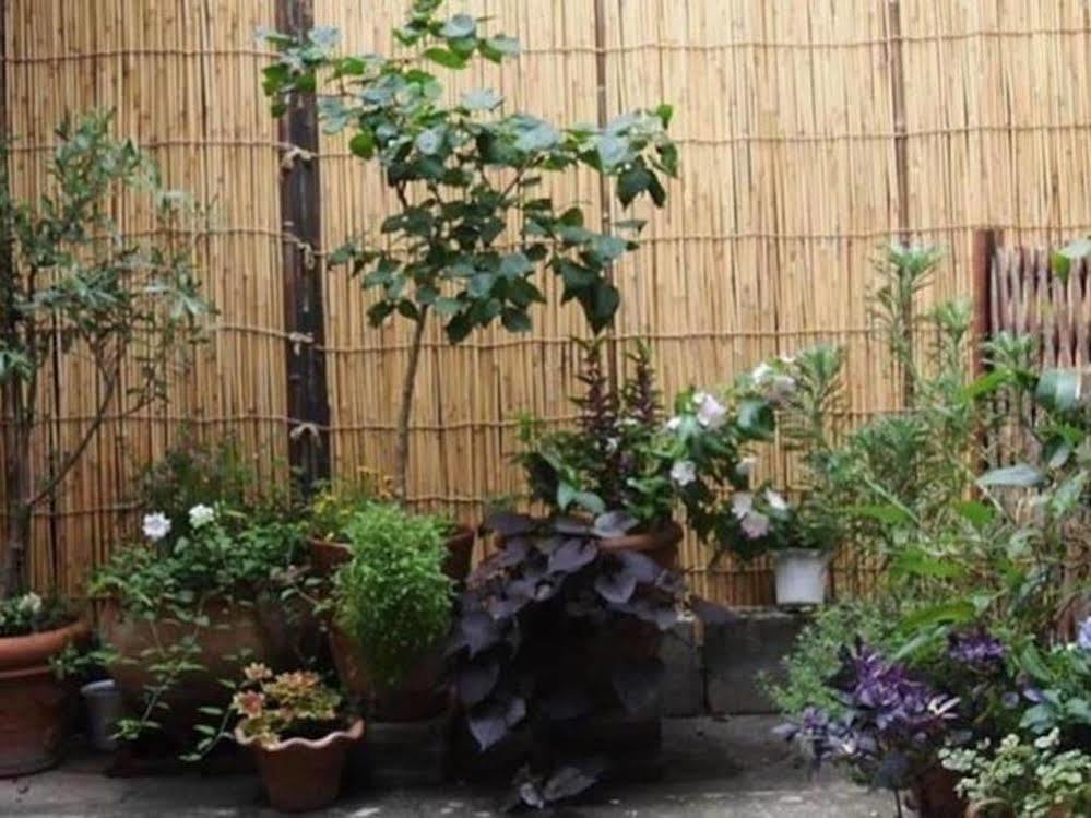 Guesthouse Usagi-Momiji كيوتو المظهر الخارجي الصورة